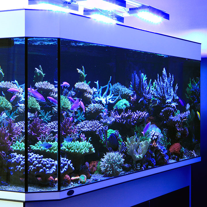 marine aquarium 3 lite chrome