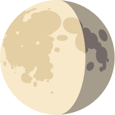 icon_moon @ 2x .png