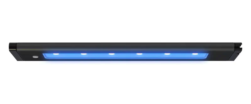 DEEP BLUE 445nm ACTINIC 100 lumens/ft LED Light Strip Lunar Moon